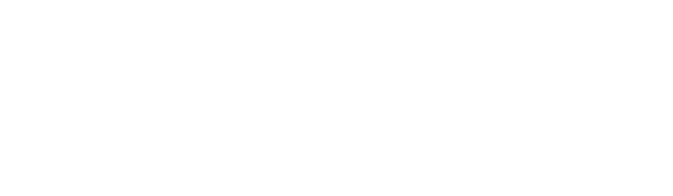logo-aniran-Co-1